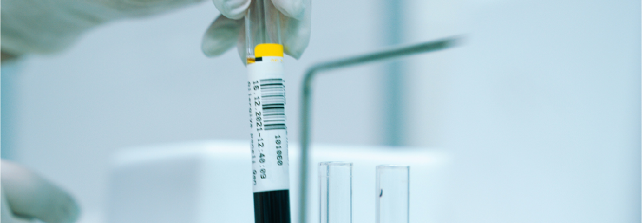 Understanding Drug Master File (DMF) in API Manufacturing