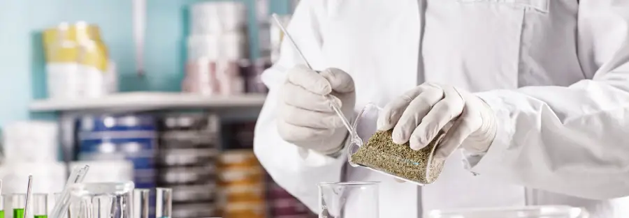 What is Formulation Development & Why is it Important?